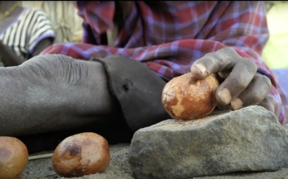 The Hunger Safety Net Program Cash Transfer Program in Turkana, Kenya