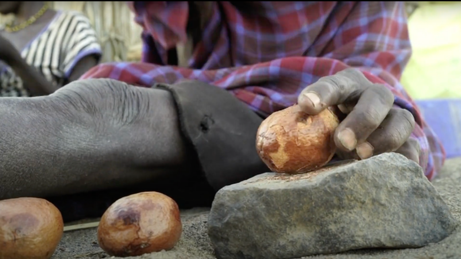 The Hunger Safety Net Program Cash Transfer Program in Turkana, Kenya